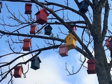 Mange fuglekasser henger i et tre