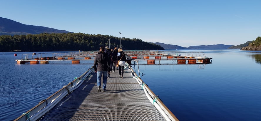 Fiskeoppdret i fjord med en gårampe med folk på