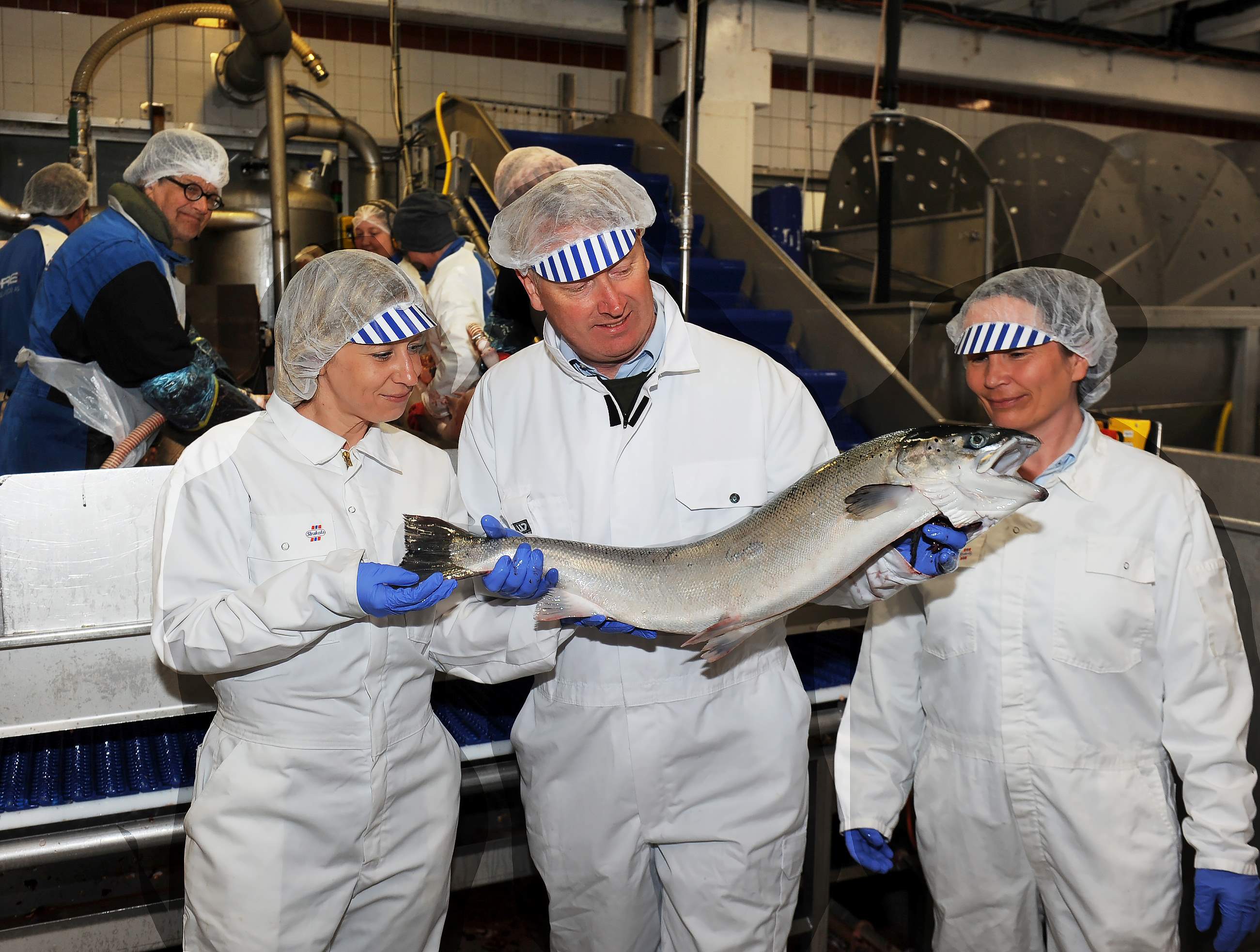 Forskingsleiar Hanne Solvang Felberg, Møreforsking; prosjektleiar Anders Marthinussen, Pure Norwegian Seafood og fagleiar for fiskehelse, Barbro Klakegg, Åkerblå