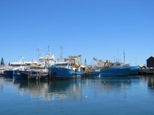 Fiskebåter ved havn.jpg