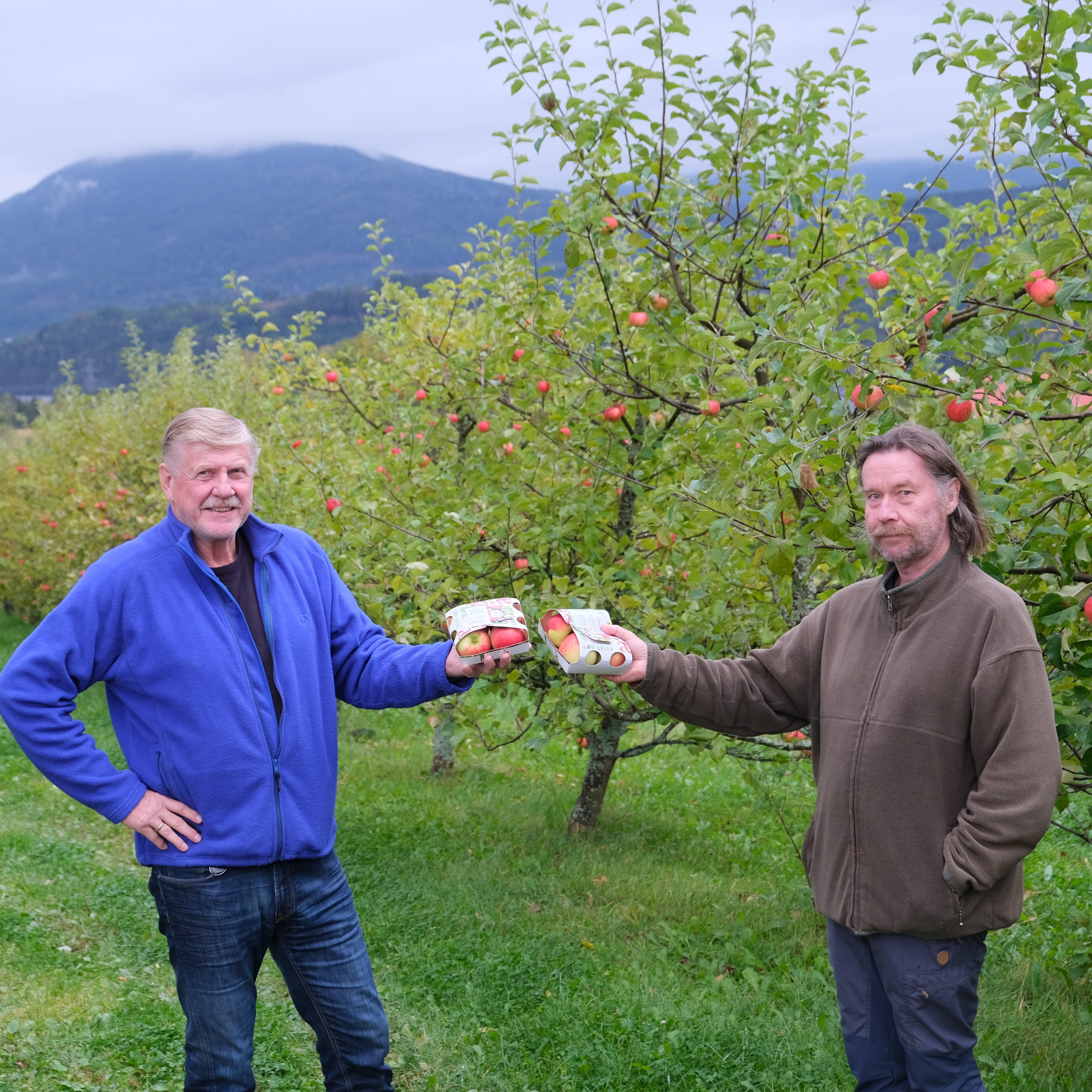 Alf Kigen og Olav Jønsi fra Økofrukt med det ferdige produktet.Flere år med pandemi kombinert med reduserte avlinger grunnet frost under blomstring har vært  utfordrende for prosjektet